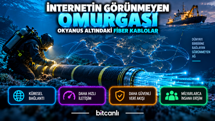 İnternetin Görünmeyen Omurgası: Okyanus Altındaki Fiber Kablolar